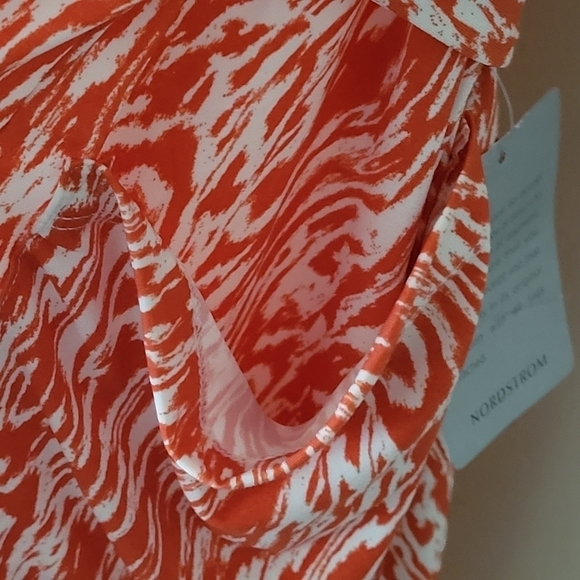 Leota Eliza Dress in Warped Zebra Chili Plus Size 2X - Picture 7 of 11